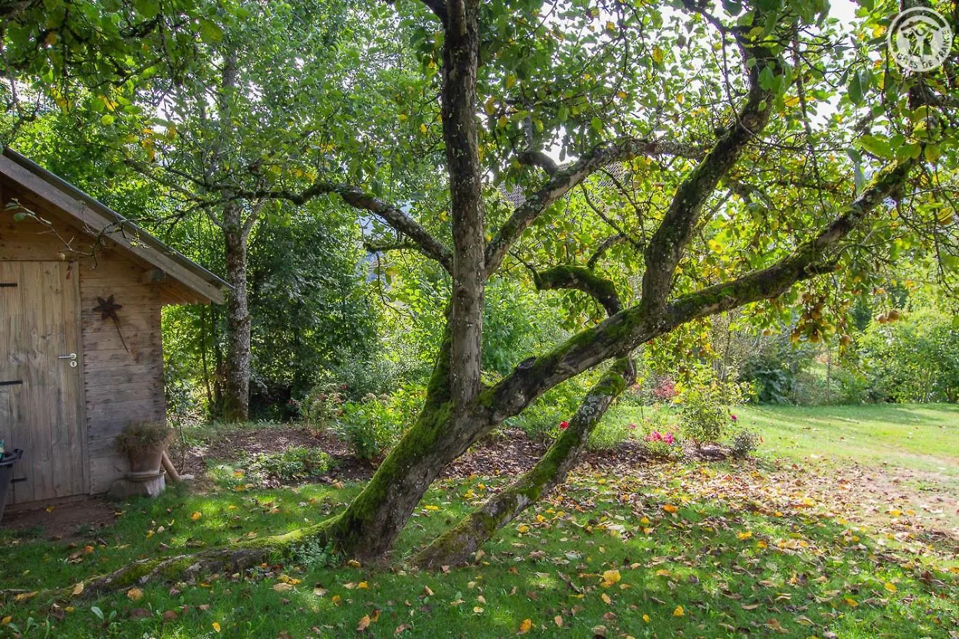 Les Perrelles Bed & Breakfast Bellecombe-en-Beauges